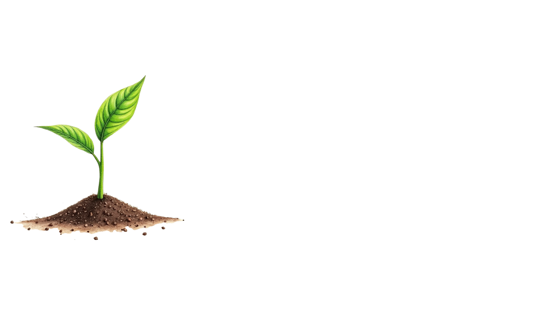 Jas Genetic | Chemical & Fertilizers